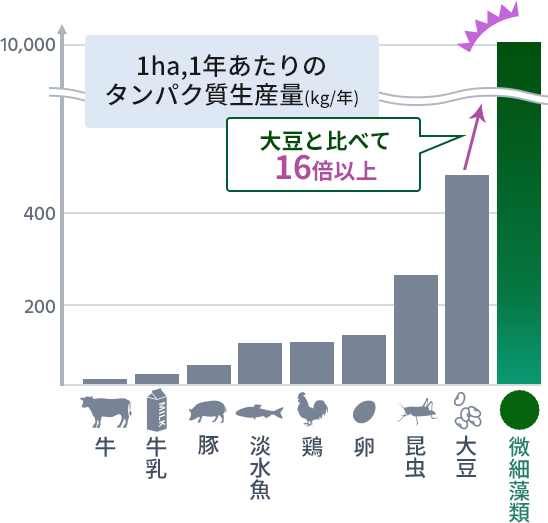 1ha,1年あたりのタンパク質生産量 大豆と比べて16倍以上